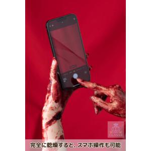 クラッセ【乾いてはがせる肌用血のり(ぺりっ血)...の詳細画像4