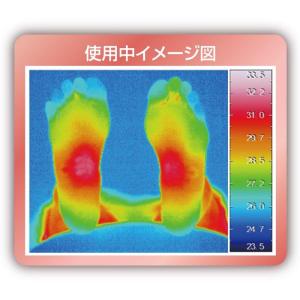 マグネループ認定販売店 ピップ【足裏バンド】エ...の詳細画像4