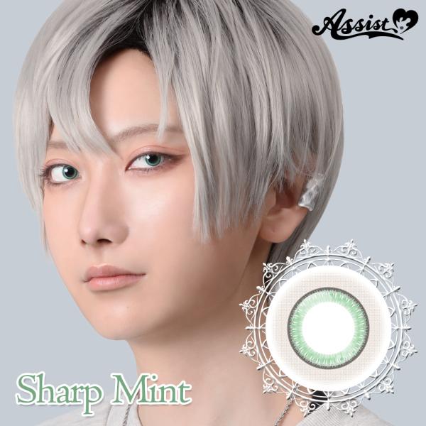 アシストシュシュ ハスキーアイ :Re ワンデー【シャープミント】度なし 度あり 三白眼 カラコン ...