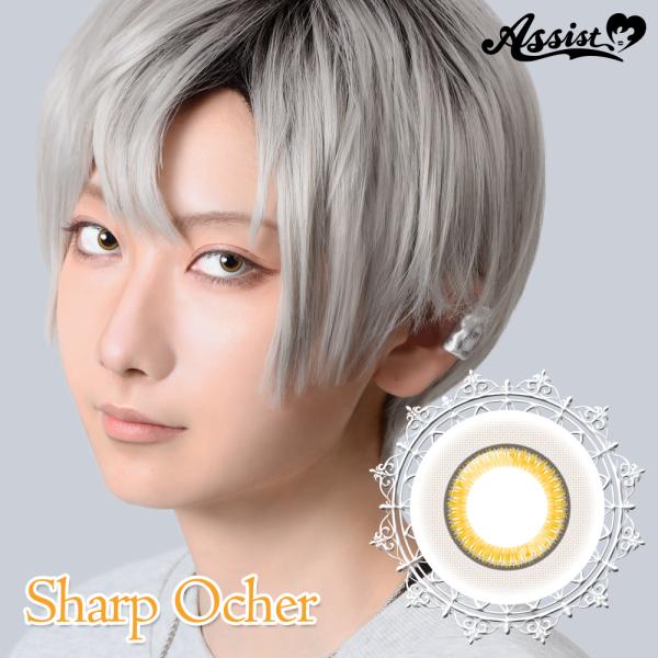 アシストシュシュ ハスキーアイ :Re ワンデー【シャープオーカー】度なし 度あり 三白眼 カラコン...