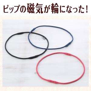 マグネループ認定販売店 ピップ【マグネループ ...の詳細画像1