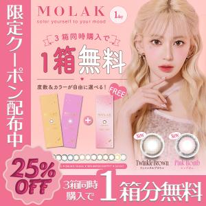 専用ルビーフィット リフレッシュダイエット サプリメント　各2箱セット キレイサローネ オンラインショップ / ルビーフィット