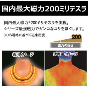 マグネループ認定販売店 ピップ【マグネループ ...の詳細画像1