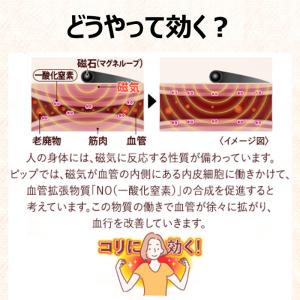 マグネループ認定販売店 ピップ【マグネループ ...の詳細画像4