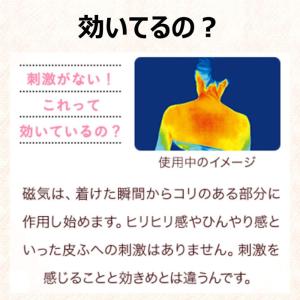 マグネループ認定販売店 ピップ【マグネループ ...の詳細画像5