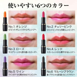 メイコー化粧品【正規品】【マジカルリップ】ティ...の詳細画像5