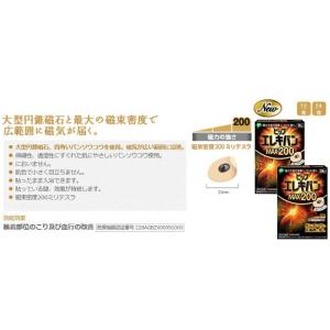マグネループ認定販売店 ピップ【エレキバン】M...の詳細画像1