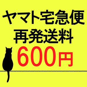 ヤマト宅急便 再発送料 600円(税込み)｜hotmart