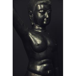 釈迦誕生像の詳細画像1