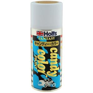 Holts（ホルツ） タフウレタンマットブラック 320ml スプレー缶 2液性