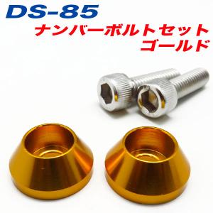 ナンバーボルト ナンバープレートボルト 車 ゴールド GOLD 2個入 アルファ DS-85｜hotroadparts