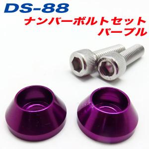 ナンバーボルト ナンバープレートボルト 車 パープル PURPLE 2個入 アルファ DS-88｜hotroadparts