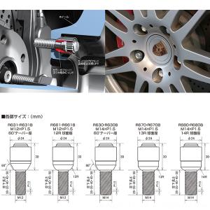 ロックボルト ブルロック リガード ボルト 輸...の詳細画像2