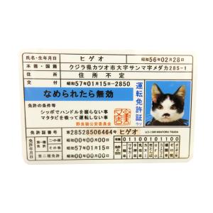 なめ猫 ステッカー 免許証 ドラ吉 なめんなよ デカール シール ネコ 車