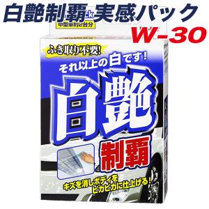 白艶制覇 実感パック ボディコーティング剤 撥水効果6ヶ月 中型車約2台分 樹脂・メッキパーツなどに 80ml リンレイ W-30｜hotroadtirechains