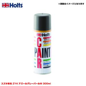 Holts（ホルツ） 【P最大14倍 6/19-21限定】純正カラー カーペイント