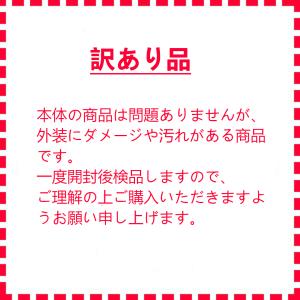 【訳あり】足裏のアーチを支えて、日本人の為イン...の詳細画像3