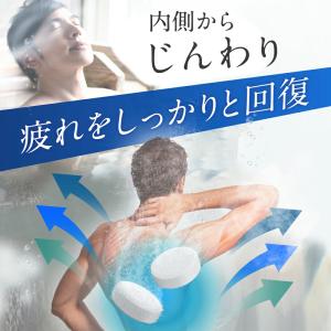 薬用 入浴剤 ホットタブ リカバリー 90錠 ...の詳細画像4