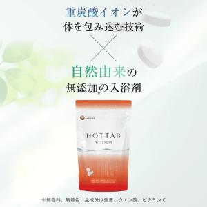 入浴剤 ホットタブ ウェルネス 90錠 医薬部...の詳細画像2