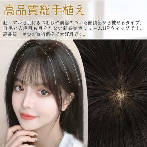 ヘアピース 人毛100% 頭頂部 ウィッグ 自...の詳細画像4