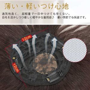 ヘアピース 人毛100% 頭頂部 ウィッグ 自...の詳細画像5