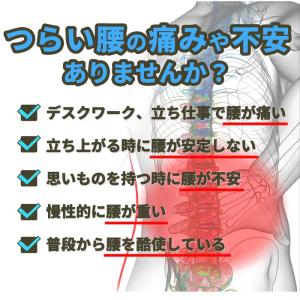 腰痛 サポート ベルト 薄手 蒸れない ずれ防...の詳細画像2