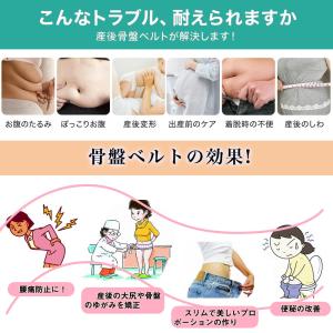 骨盤 ベルト 矯正 腰痛 サポーター コルセッ...の詳細画像3