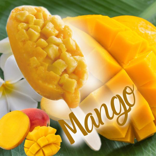 リッチ果実バー　マンゴー