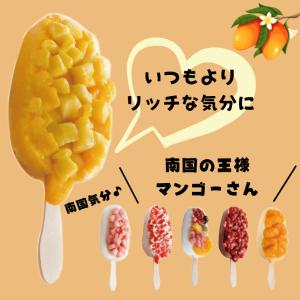 リッチ果実バー マンゴーの詳細画像2