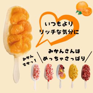 リッチ果実バー 温州みかんの詳細画像2