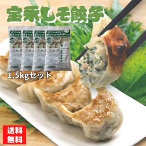 【送料無料】宝永しそ餃子1.5kgセット