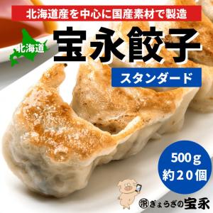 宝永餃子20個入 スタンダード 北海道 ぎょうざの宝永 製造元 口コミで話題