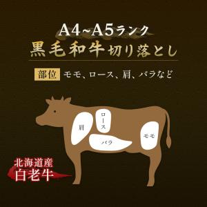最高級 A4 A5和牛 白老牛 切り落とし 5...の詳細画像3