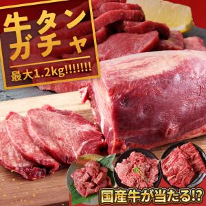 お歳暮 ギフト 肉 お肉 送料無料 モリタ屋 国産黒毛和牛 ヒレ(シャトーブリアン) ステーキ用(計360g) / 御歳暮 歳暮 お歳暮ギフト 冬ギフト 内祝い お返し 高級肉 高級 ブランド 国産 和牛 肉ギフト 肉セット ブランド牛 ギフトセット 詰め合わせ つめあわせ 詰合せ 贈り物 送料無料 お歳暮人気ギフト モリタ屋 国産黒毛和牛 ヒレ（シャトー
