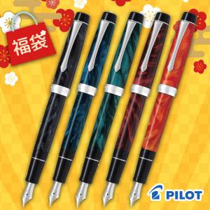 セーラー万年筆 SAILOR セーラー プロフィット 蒔絵 紅葉 万年筆 10