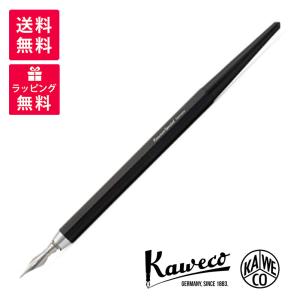 プラチナ万年筆 PLATINUM 美巧 金沢箔 月と兎 #87 ツキトウサギ 万年筆