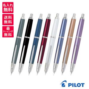 PILOT（文具） PILOT（パイロット） FCT-15SR-GY-EF 万年筆