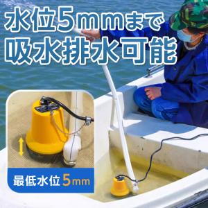 水中ポンプ 小型 12V/24V ビルジポンプ...の詳細画像4