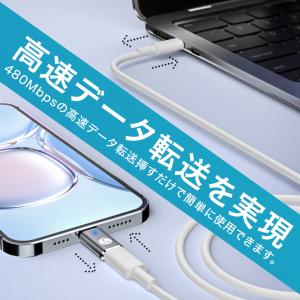 ライトニング Lightning to typ...の詳細画像4