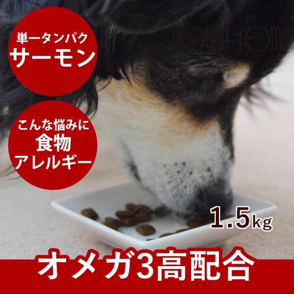 犬用AATU アートゥー サーモン ドッグフード 1.5kg※2025年10月以降順次リニューアル