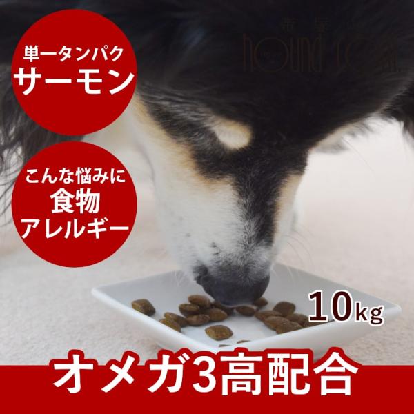 犬用AATU アートゥー サーモン ドッグフード 10kg※2025年10月以降順次リニューアル