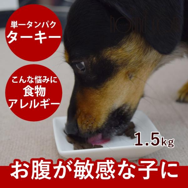 犬用AATUターキー 1.5kg ドッグフード ドライフード 総合栄養食