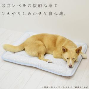 愛犬愛猫用 超クールWラッセルウォッシャブルマ...の詳細画像1