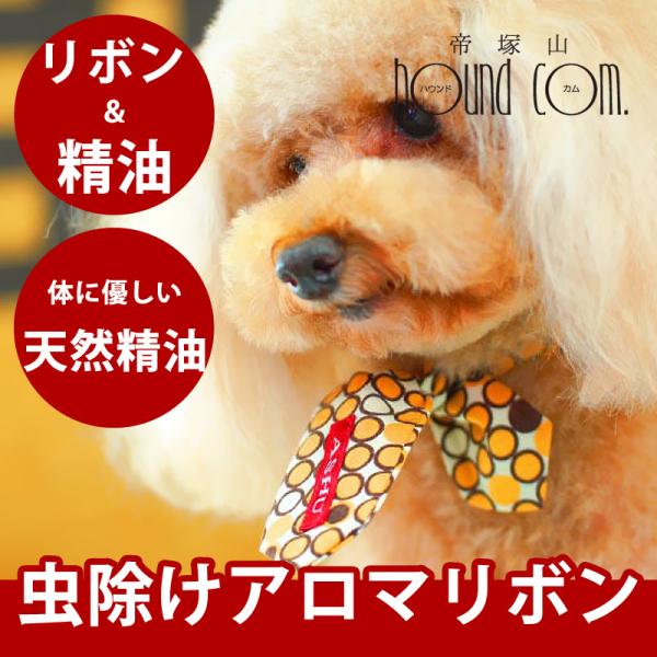 犬 ASHU*アロマリボン＆精油