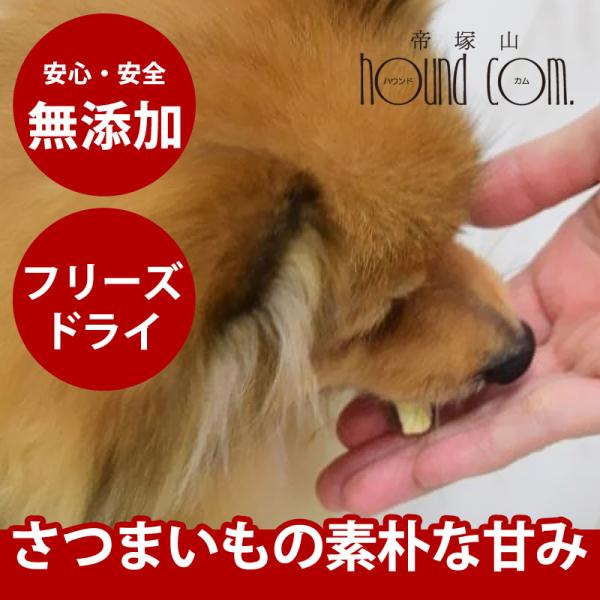 犬猫用おやつ Piece 無添加 さつまいもフリーズドライ無添加ドッグフード 犬のおやつ