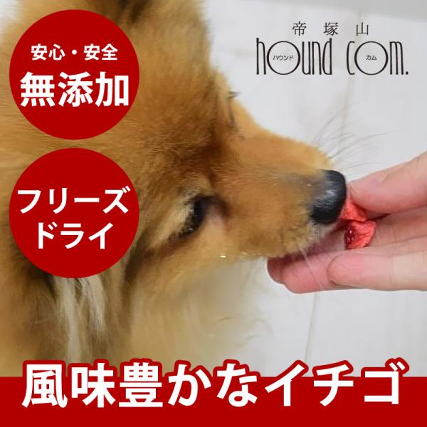 犬猫用おやつ Piece 無添加 イチゴフリーズドライ無添加ドッグフード 犬のおやつ