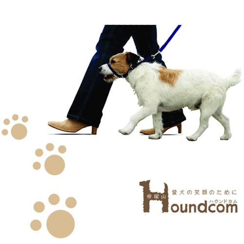 犬 首輪 引っ張り癖 無駄吠え対策 カニイカラーシステム サイズ4 犬 しつけ