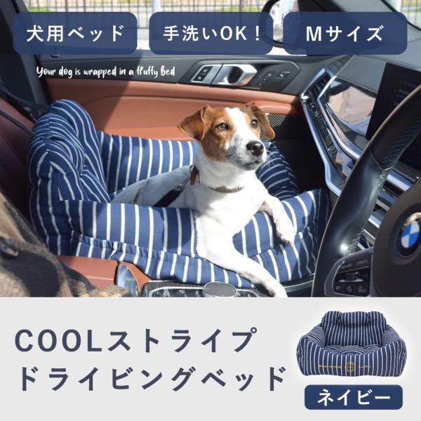 愛犬用ベッド COOLストライプドライビングベッド M/ネイビー チノフィロ