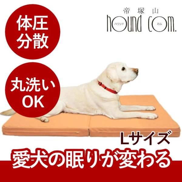 ペットケアマットNEO　Lサイズ 一般用　爽快潔リビング