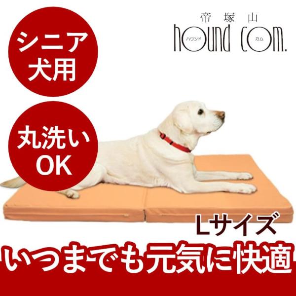 介護用　ペットケアマットNEO　Lサイズ シニア犬　爽快潔リビング　老犬用ベッド